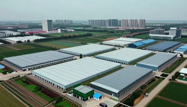 资源管理在信息化方案中的关键作用与未来趋势